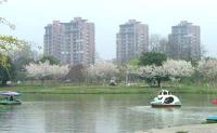 上海植物園の画像